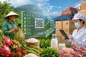 Truy xuất nguồn gốc đã trở thành yêu cầu bắt buộc với nông sản khi tham gia các chuỗi cung ứng hiện đại.