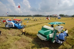 Ngành nông nghiệp và môi trường tiết kiệm 5.300 tỷ đồng nhờ cắt giảm thủ tục hành chính 