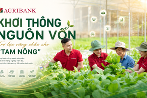 Tổ vay vốn Agribank: Khơi thông nguồn vốn, trợ lực vững chắc cho “Tam nông”