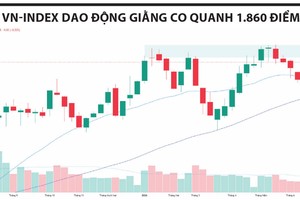 VN-Index tích lũy quanh 1.860 điểm, làn sóng BT mở thêm cơ hội đầu tư
