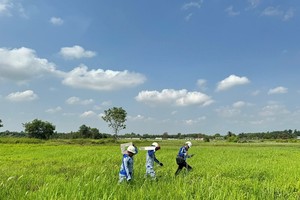 Cắm mốc giải phóng mặt bằng tuyến cao tốc TP.HCM - Mộc Bài. Ảnh: Lê Anh