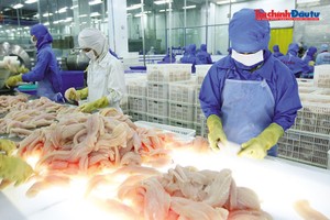 6 tháng đầu năm nay, kim ngạch xuất khẩu thủy ước đạt khoảng 5,7 tỷ USD, tăng khoảng 11% so với cùng kỳ năm trước. Ảnh: Lê Toàn