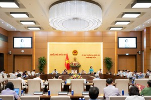 Phó chủ tịch Quốc hội Nguyễn Thị Thanh điều hành phiên thảo luận. 