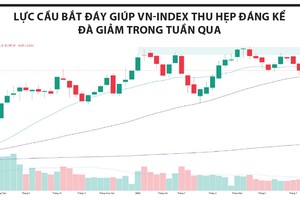Lực cầu bắt đáy xuất hiện nhưng chưa lan tỏa