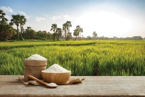 Việt Nam duy trì sản lượng xuất khẩu gạo ở mức cao trong nửa đầu năm 2026, nhưng giá trị thu về lại sụt giảm so với cùng kỳ do áp lực cạnh tranh toàn cầu