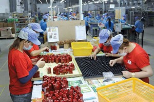 Với kinh nghiệm nhiều năm xuất khẩu hàng sang các thị trường khó tính, các doanh nghiệp đủ tự tin để chinh phục khách hàng tại thị trường EFTA (Ảnh: Lê Toàn)