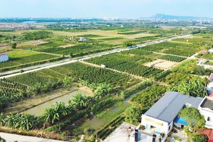 Hải Phòng tập trung cao độ, quyết liệt hoàn thành cơ sở dữ liệu đất đai Thành phố. Ảnh: Trung Kiên