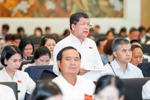 Phó chủ nhiệm Ủy ban Văn hóa và Xã hội Tạ Văn Hạ tham gia thảo luận. 