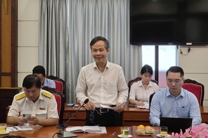 Ông Trịnh Xuân Đức, Phó tổng giám đốc Tập đoàn Becamex phát biểu tại hội nghị. Ảnh: TT