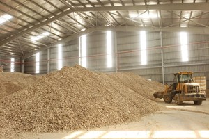 Sắn lát trong kho chờ xuất khẩu. Ảnh: ĐVCC.