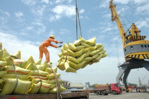 TP.HCM yêu cầu cơ quan chức năng tuyệt đối không để xảy ra tình trạng chậm trễ, ách tắc khó khăn cho doanh nghiệp xuất khẩu gạo.