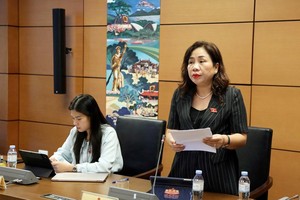 Đại biểu Trần Thị Hiền (Ninh Bình) phát biểu tại tổ - Ảnh: QH.