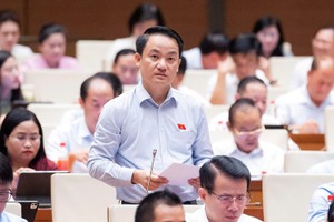 Đại biểu Lê Văn Thế (Ninh Bình) phát biểu tại hội trường - Ảnh: QH 