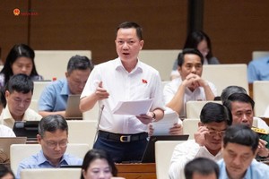 Đại biểu Trịnh Xuân An (Đồng Nai) phát biểu tại hội trường. 