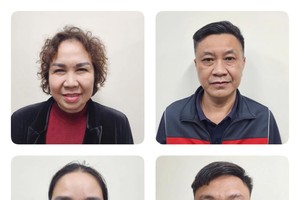 Bị can Chu Thị Thành, Chủ tịch Tập đoàn Thiên Minh Đức (trên cùng bên trái) và một số đối tượng trong vụ án. Ảnh: BCA