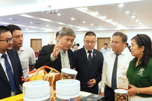 Quảng Trị đang tăng cường hợp tác với các địa phương Nhật Bản trên nhiều lĩnh vực. Ảnh: Trường Nhật