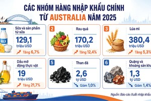 Dư địa lớn thúc đẩy thương mại với Australia, New Zealand 