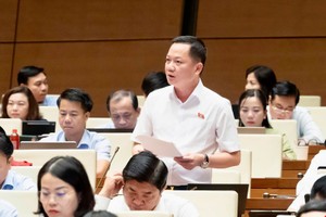 Đại biểu Trịnh Xuân An tham gia thảo luận - Ảnh: QH.