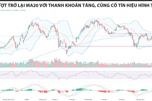 Đáy 2 được xác nhận