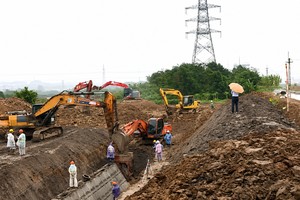 Hình minh họa.