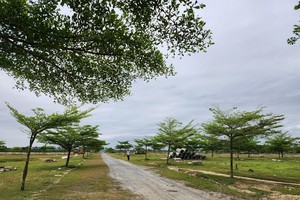 Ba dự án đô thị của Công ty Bách Đạt An còn nhiều vướng mắc.