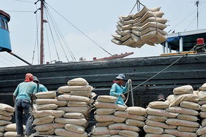 Xuất khẩu xi măng, clinker 7 tháng đầu năm thu về 840 triệu USD, tăng 12,9% so với cùng kỳ. 