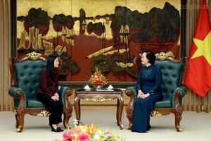 Phó Thủ tướng Phạm Thị Thanh Trà tiếp Đại sứ Hoa Kỳ tại Việt Nam Jennifer Wicks. Ảnh: Chinhphu.vn/Thu Giang