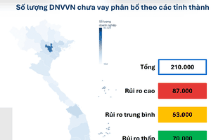 Số lượng doanh nghiệp vừa và nhỏ chưa tiếp cận vốn vay phân bổ theo tỉnh thành, tính đến 2025. Ảnh: FiinGroup