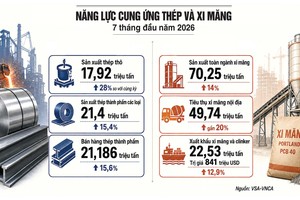 Sản xuất xi măng, sắt thép lập đỉnh 