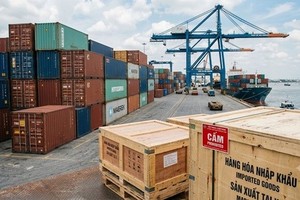 Việt Nam nghiêm cấm mọi hình thức lao động cưỡng bức, tuân thủ nghiêm túc các quy định của Tổ chức Lao động Quốc tế (ILO)...