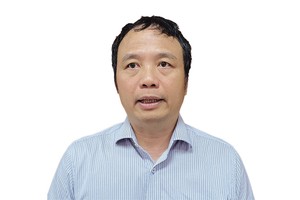 TS. Nguyễn Tú Anh, Giám đốc Nghiên cứu chính sách (Đại học VinUni)