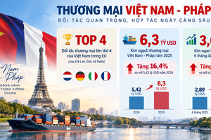 Số liệu: Bộ ngoại giao.