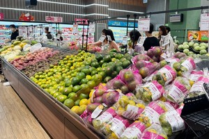 Hà Nội tăng cường giám sát an toàn thực phẩm đối với rau, củ, trái cây và các sản phẩm trồng trọt tại vùng sản xuất tập trung. Ảnh tư liệu.