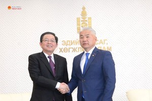Phó Thủ tướng Chính phủ Hồ Quốc Dũng làm việc với Phó Thủ tướng Thường trực, Bộ trưởng Kinh tế và Phát triển Mông Cổ Jadamba Enkhbayar