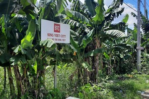 Khu đô thị Sing - Việt quy hoạch treo đến nay đã hơn 26 năm 