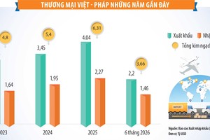 Đưa thương mại Việt - Pháp sớm đạt 10 tỷ USD 