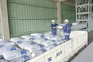 Tiêu thụ xi măng 8 tháng năm 2026 tăng cả ở kênh nội địa lẫn xuất khẩu. 