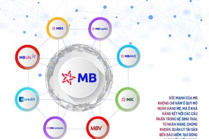 MB mở rộng vai trò kết nối dòng vốn
