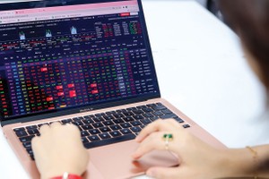 Dù các ETF mới đang mở rộng cách tiếp cận thị trường nhưng lựa chọn dành cho nhà đầu tư vẫn chủ yếu xoay quanh cổ phiếu