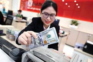 Áp lực từ USD chưa đồng nghĩa tỷ giá trong nước sẽ biến động mạnh