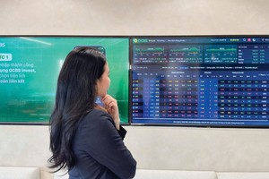 Nhóm dầu khí, vận tải và cao su tích cực hơn mặt bằng chung khi VN-Index tuần qua giảm 2,66%