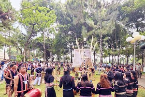 Chương trình Festival cồng chiêng kết hợp Tuần lễ Hoa Dã quỳ – Núi lửa Chư Đang Ya năm 2026 tại Gia Lai sẽ diễn ra từ ngày 30/10 đến ngày 8/11/2026. 