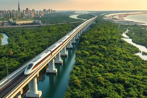Việc bồi thường, hỗ trợ, tái định cư phục vụ dự án tuyến đường sắt Bến Thành – Cần Giờ, dự kiến giải ngân thêm 3.015 tỷ đồng
