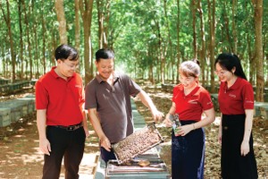 Trong cơ cấu tín dụng xanh của Agribank, lâm nghiệp bền vững chiếm tỷ trọng hơn một nửa tổng dư nợ