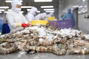 Doanh nghiệp cần kiểm soát chất lượng, minh bạch chuỗi cung ứng, tuân thủ quy tắc xuất xứ cho hàng xuất khẩu sang khu vực EFTA. 