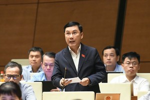 Đại biểu Lê Hoàng Anh tham gia thảo luận. Ảnh: Như Ý .