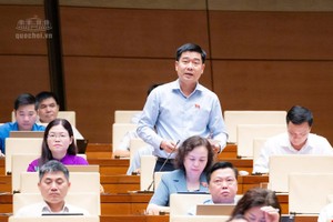 Đại biểu Lê Thanh Hoàn phát biểu tại hội trường. Ảnh: QH.