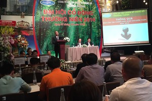 ĐHCĐ TTF: VIC dự kiến sẽ nắm giữ 69% vốn điều lệ mới của TTF