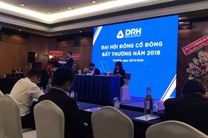 Năm 2018, DRH Holdings ước đạt lợi nhuận 72 tỷ đồng, chỉ hoàn thành 40% kế hoạch