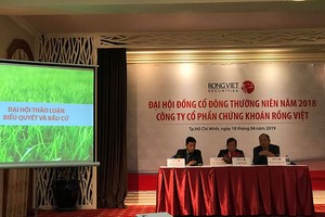 ĐHCĐ Rồng Việt: Năm 2019 có nhiều thách thức, đặt kế hoạch lợi nhuận thận trọng 120 tỷ đồng